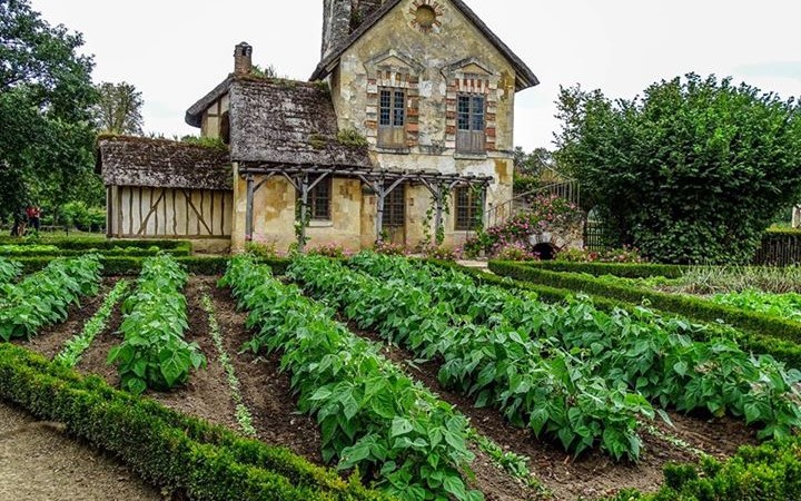 Vegetable Gardening