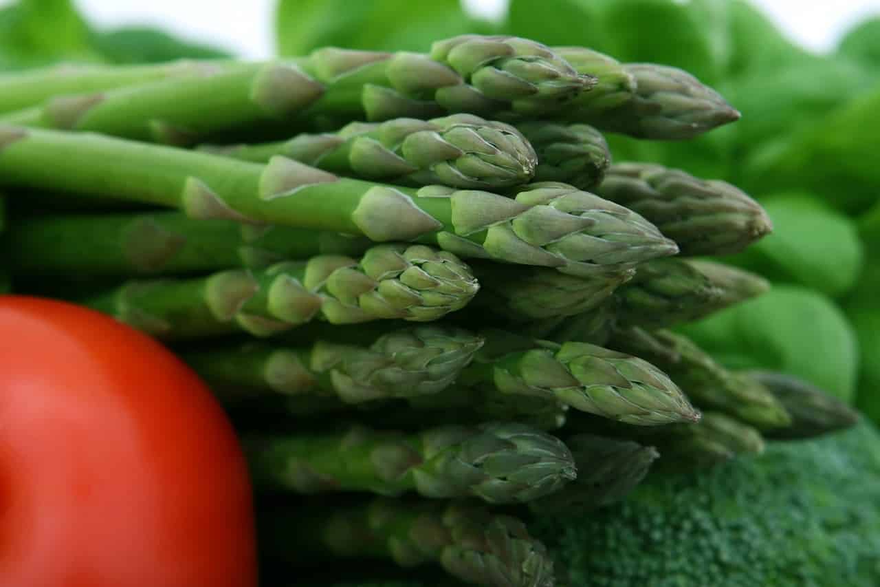 The Vegetable Information – Asparagus